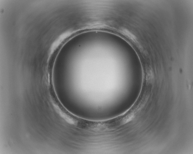 X0000070241414200606051113