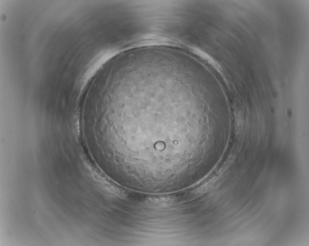 X0000070241415200606051113