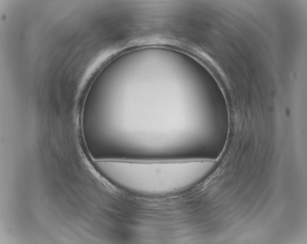 X0000070241416200606051113