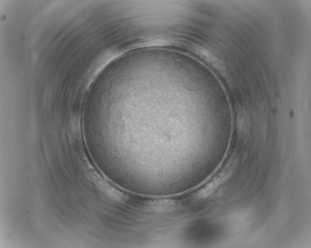 X0000070241417200606051113