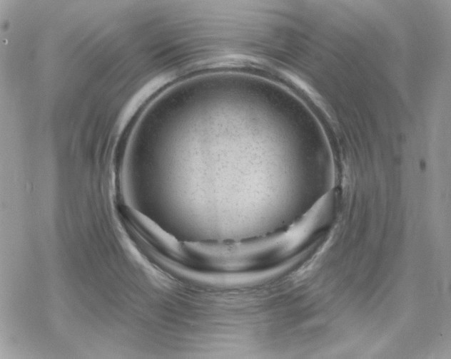 X0000070241418200606051113