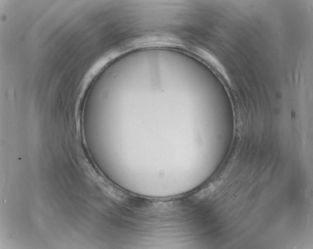 X0000070241419200606051113