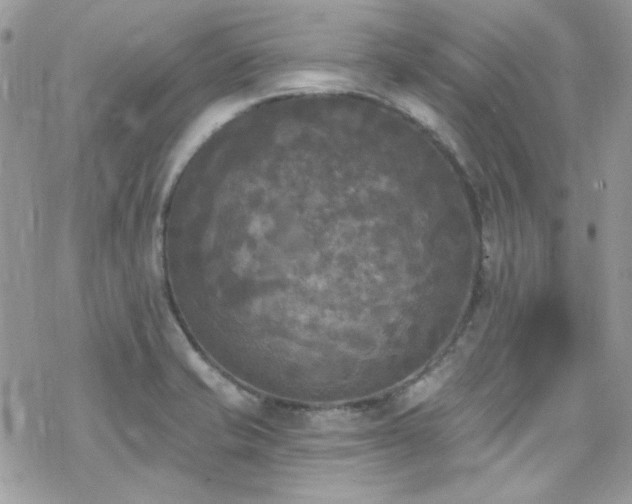 X0000070241421200606051113