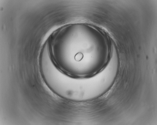 X0000070241422200606051113