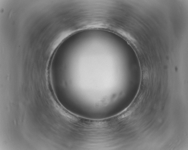 X0000070241423200606051113