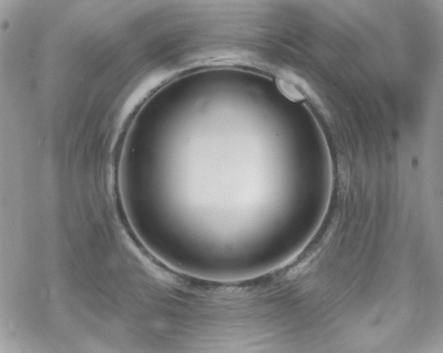 X0000070241424200606051113