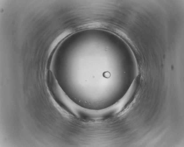 X0000070241426200606051113