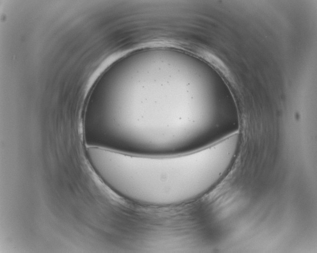 X0000070241428200606051114