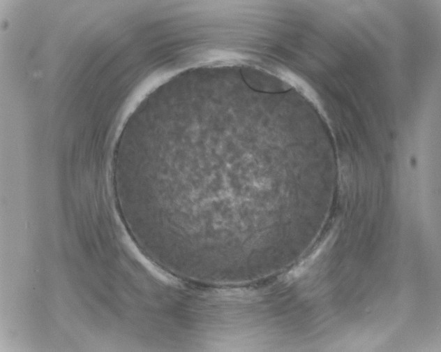 X0000070241429200606051114