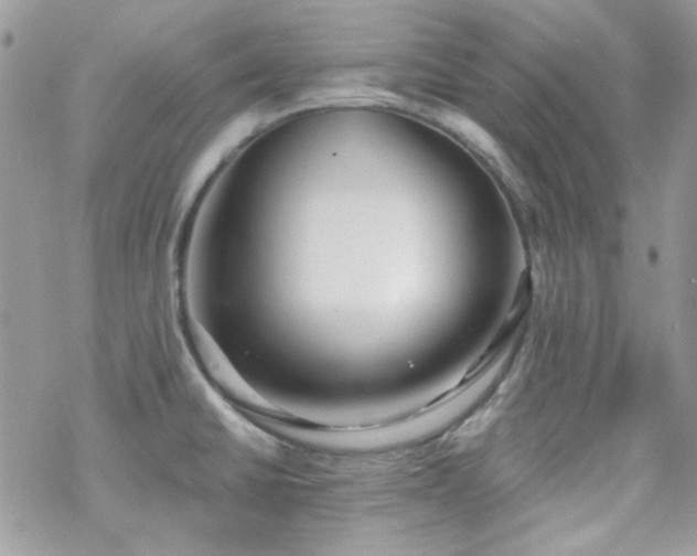 X0000070241430200606051114