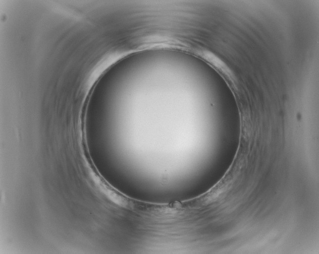 X0000070241431200606051114