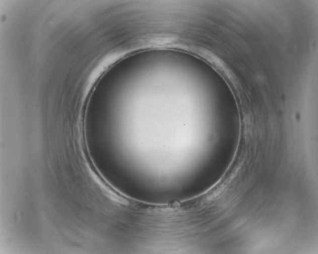 X0000070241432200606051114