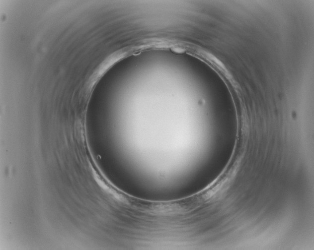 X0000070241433200606051114