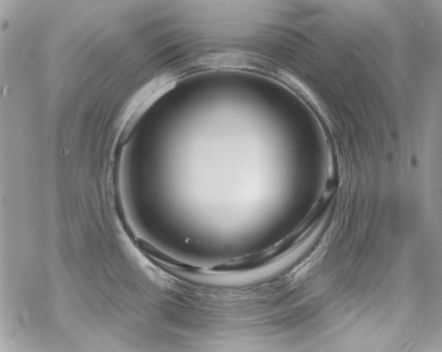 X0000070241434200606051114