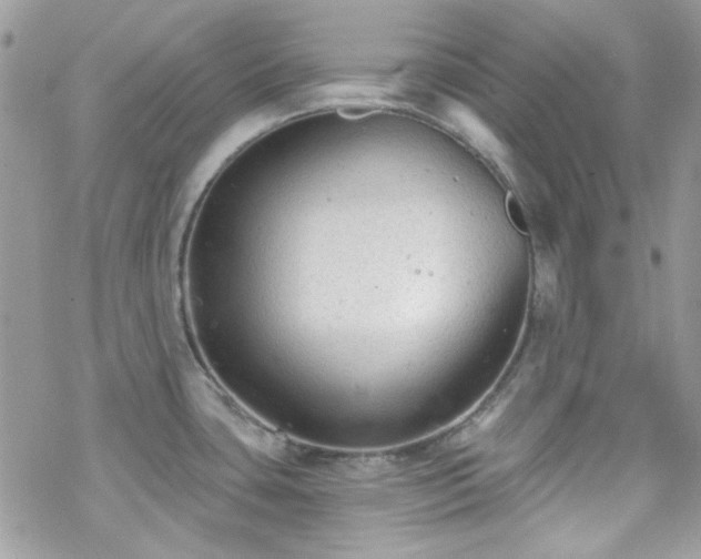 X0000070241435200606051114