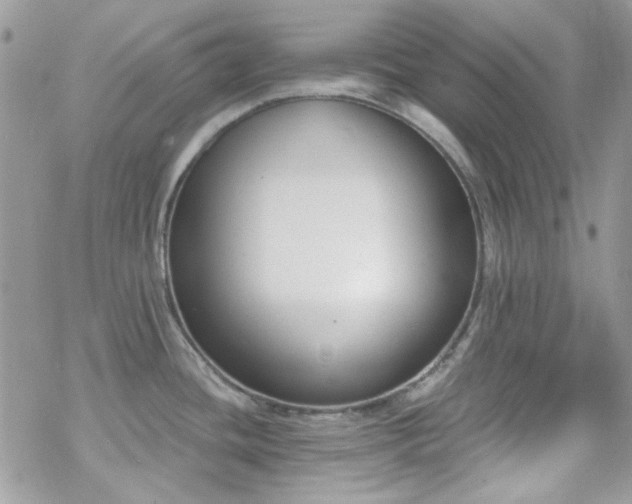 X0000070241436200606051114