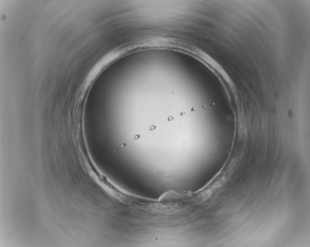 X0000070241437200606051114