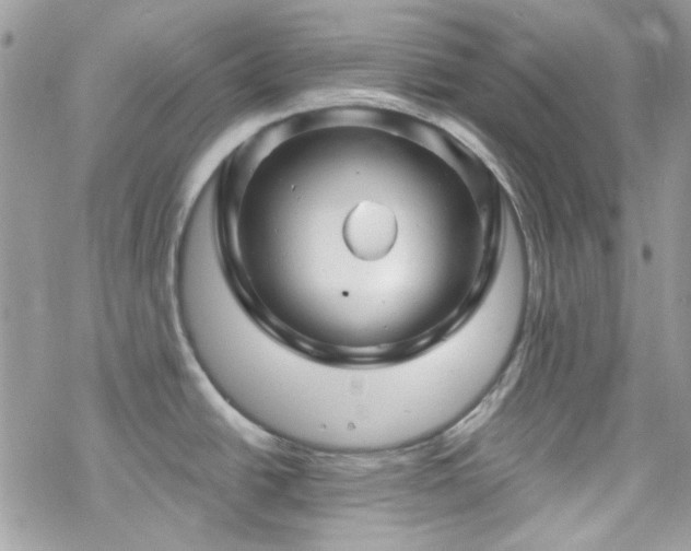 X0000070241438200606051114