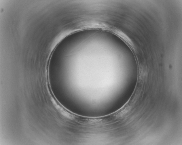 X0000070241439200606051114