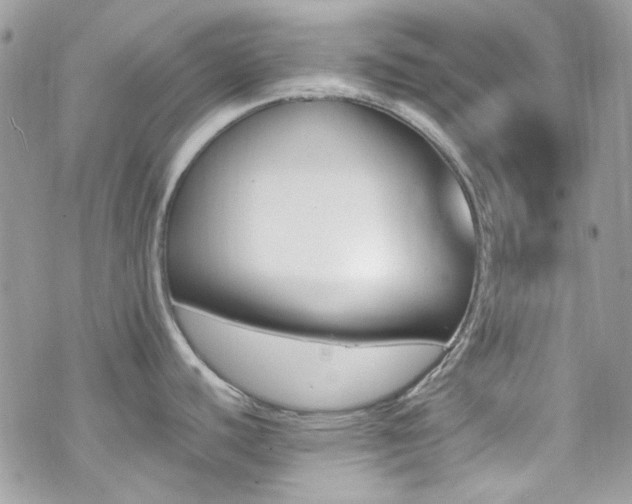 X0000070241440200606051114