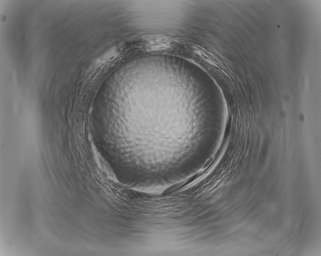 X0000070241441200606051113