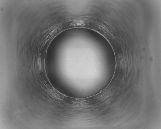 X0000070241442200606051113