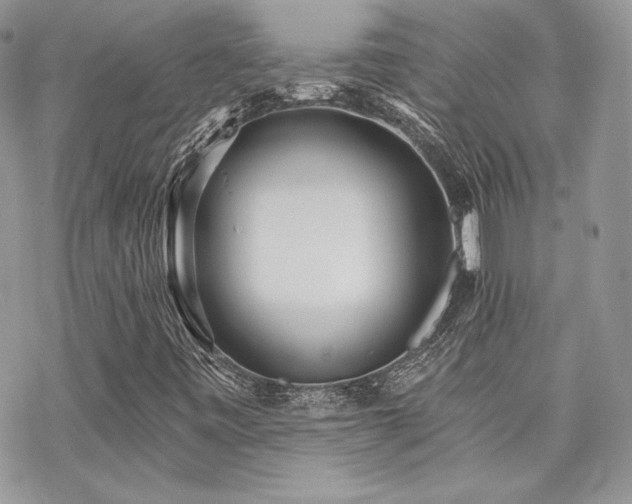 X0000070241443200606051113