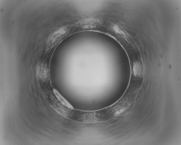 X0000070241444200606051113