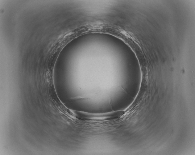 X0000070241445200606051113