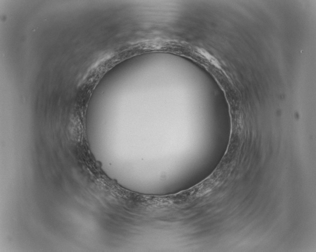 X0000070241446200606051113