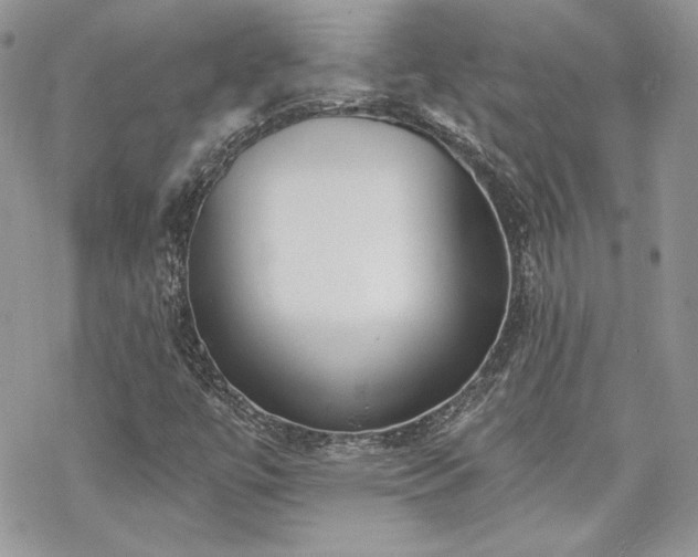 X0000070241447200606051113