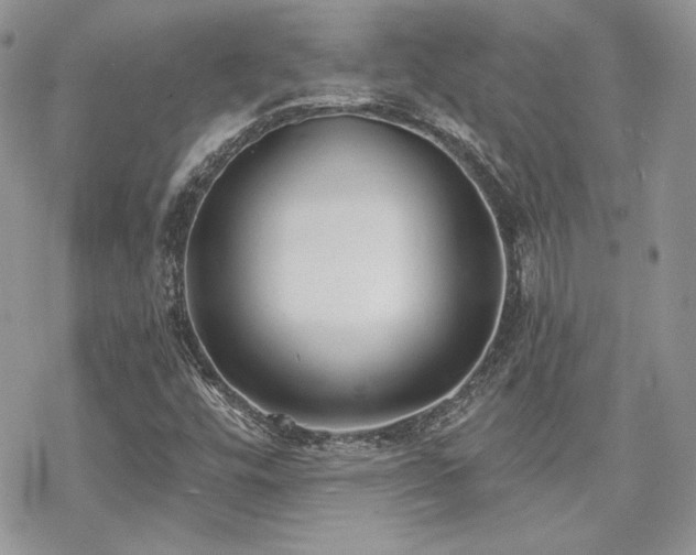 X0000070241448200606051113