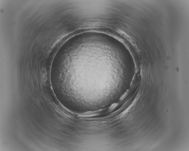 X0000070241449200606051113