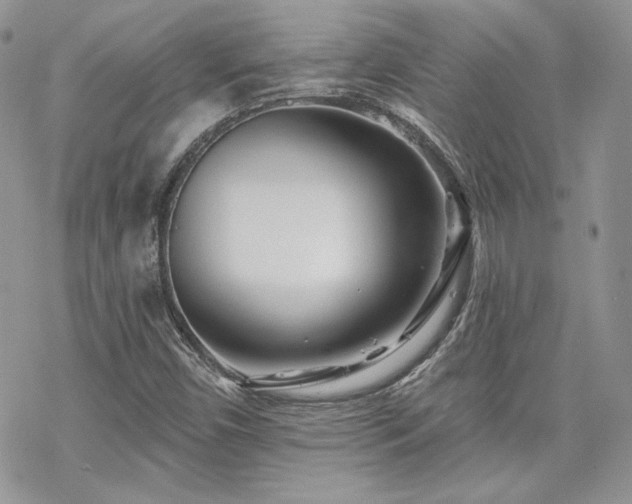 X0000070241450200606051113