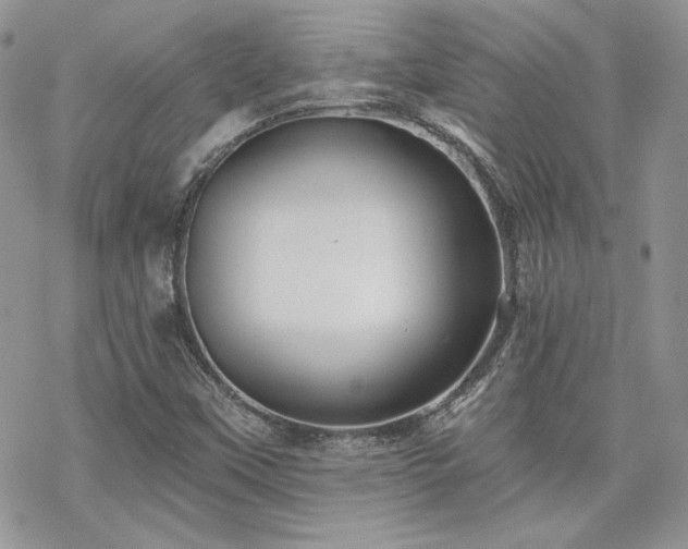 X0000070241451200606051113