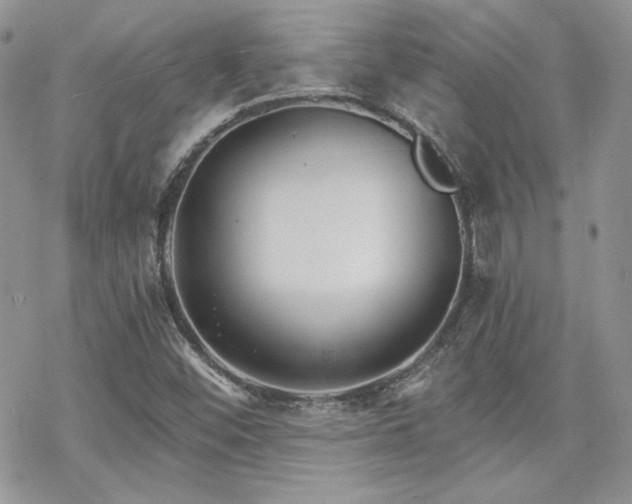 X0000070241452200606051113