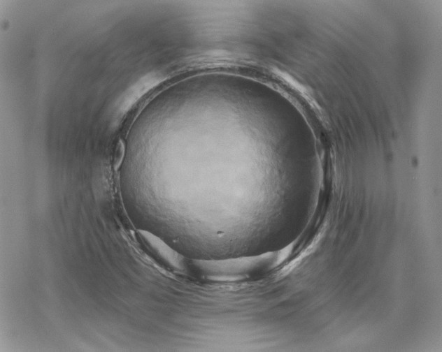 X0000070241453200606051113