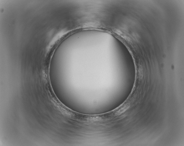 X0000070241454200606051113