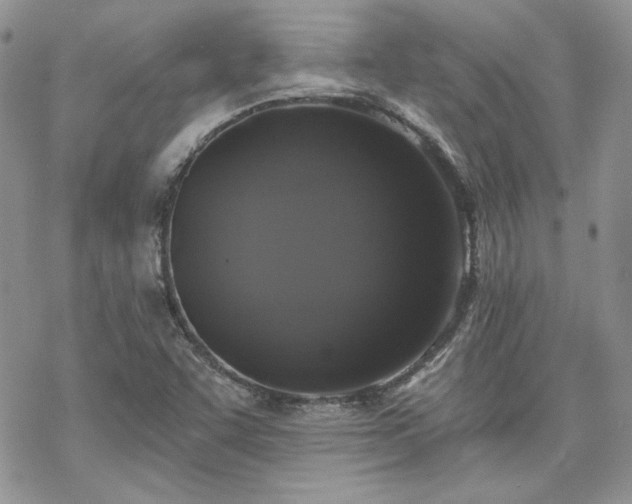 X0000070241455200606051113