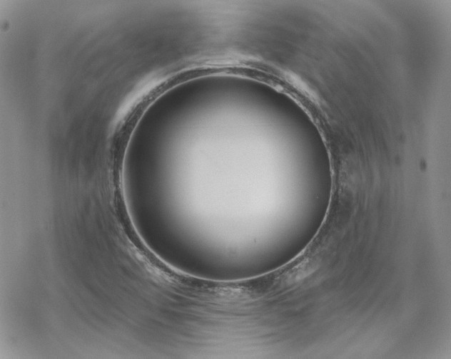 X0000070241456200606051113