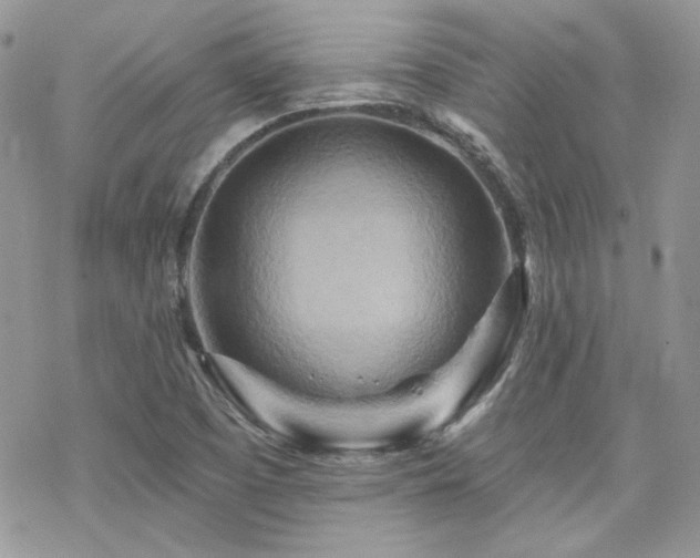 X0000070241457200606051113