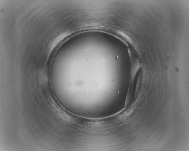 X0000070241458200606051113