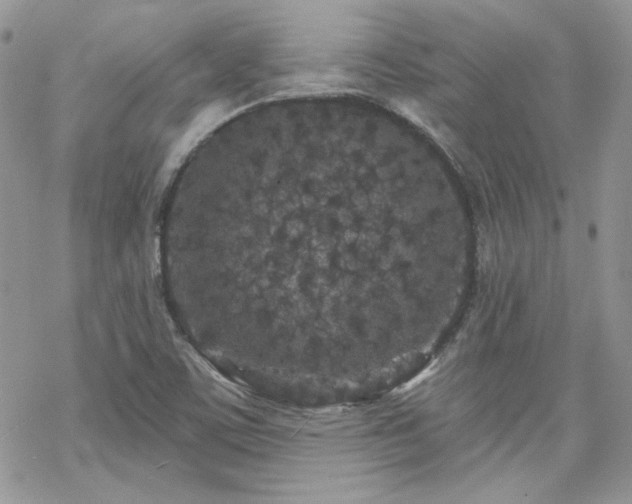 X0000070241459200606051113