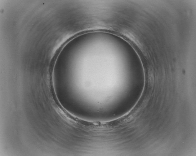 X0000070241460200606051113