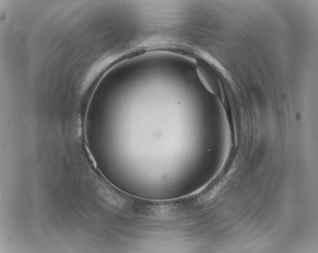 X0000070241461200606051113