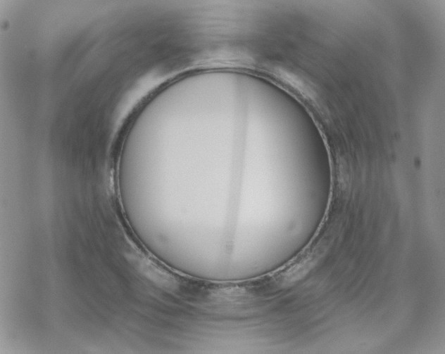 X0000070241462200606051113