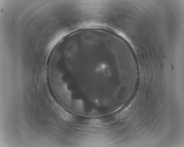 X0000070241463200606051113