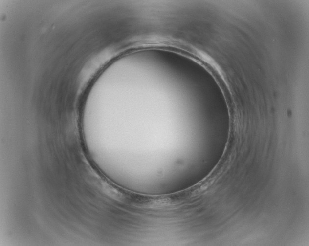 X0000070241464200606051113