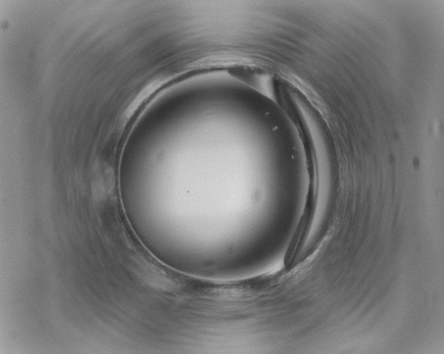 X0000070241465200606051113