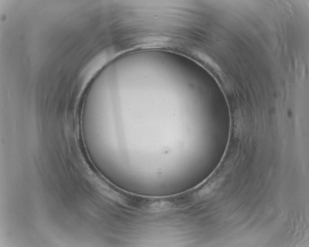 X0000070241467200606051113